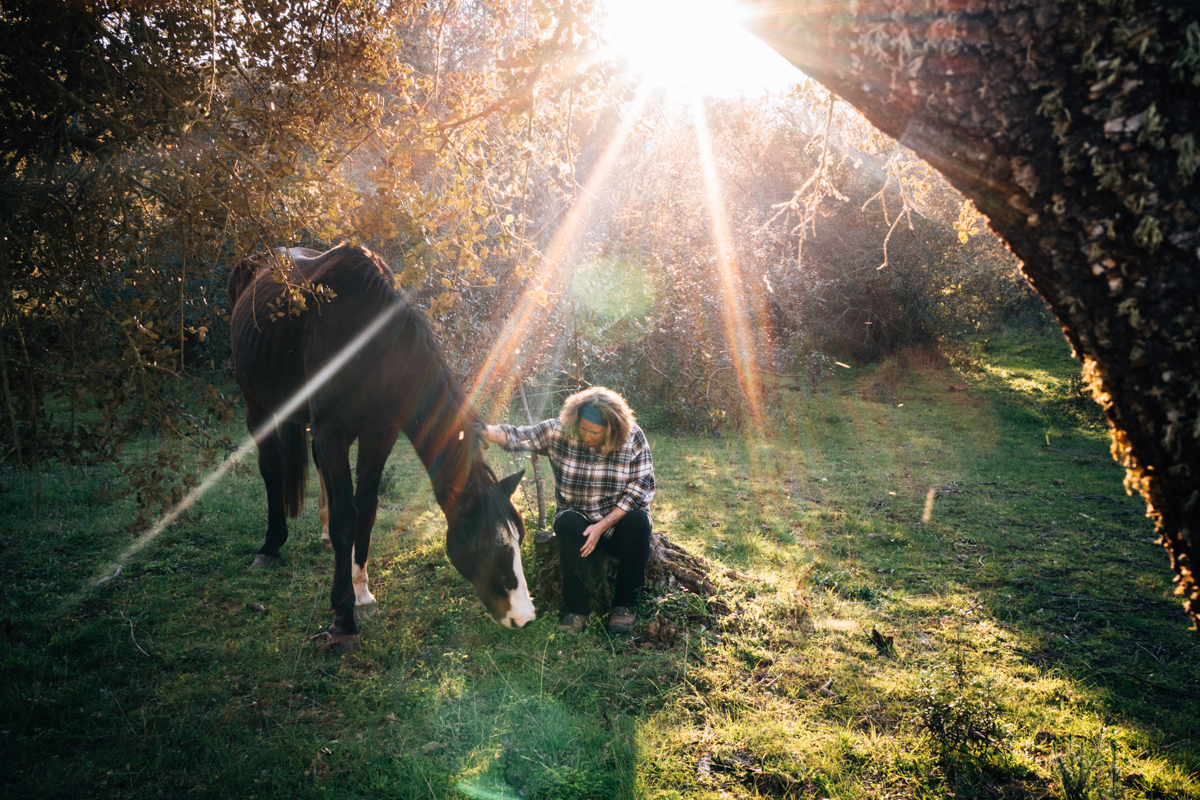 Pferdeliebe, Pferdefotograf, photograph chevaux, Tiere heilen, Pferdegestütztes Coaching, Achtsamkeit
