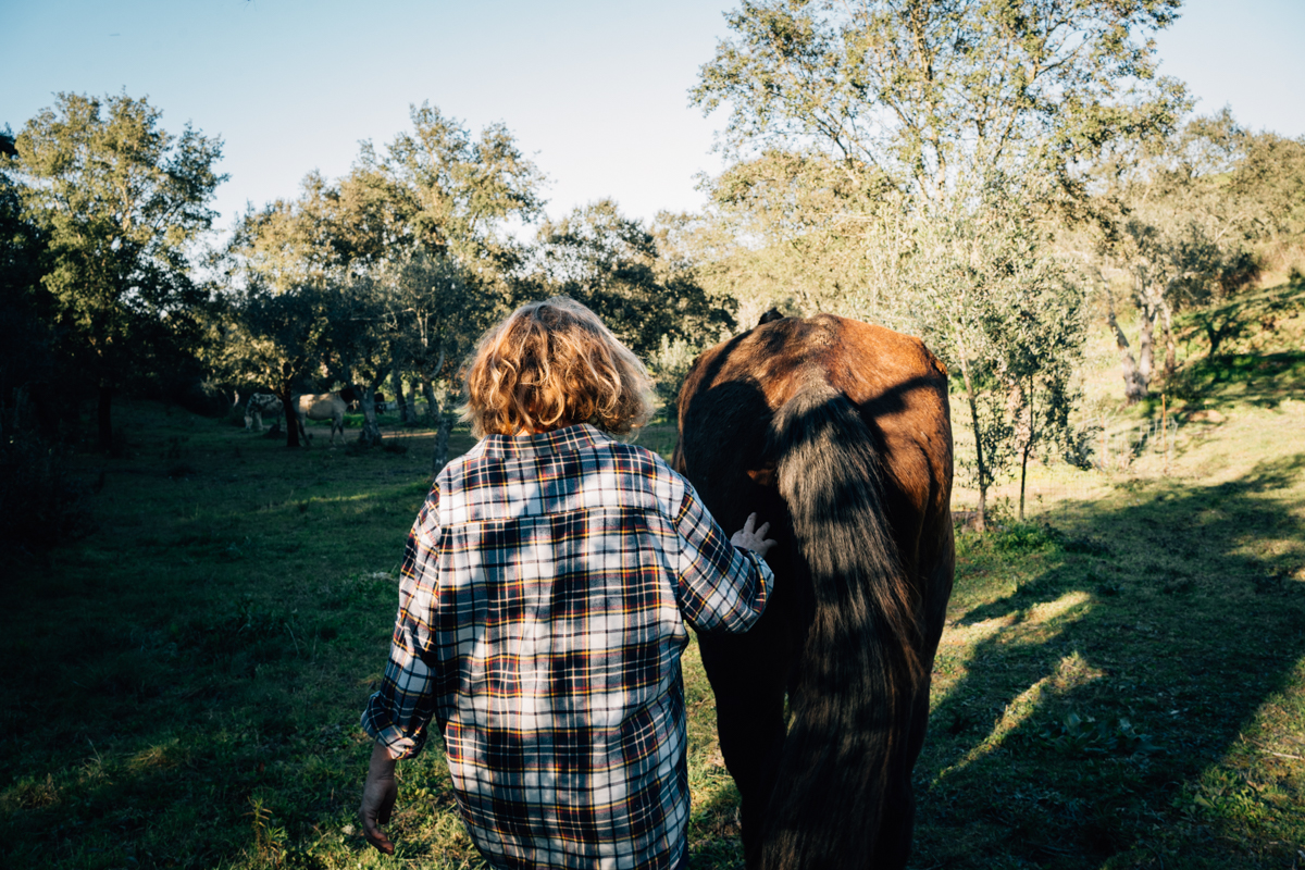 Achtsamkeit, Pferdeliebe, Pferdefotograf, photograph chevaux, Tiere heilen, Pferdegestütztes Coaching