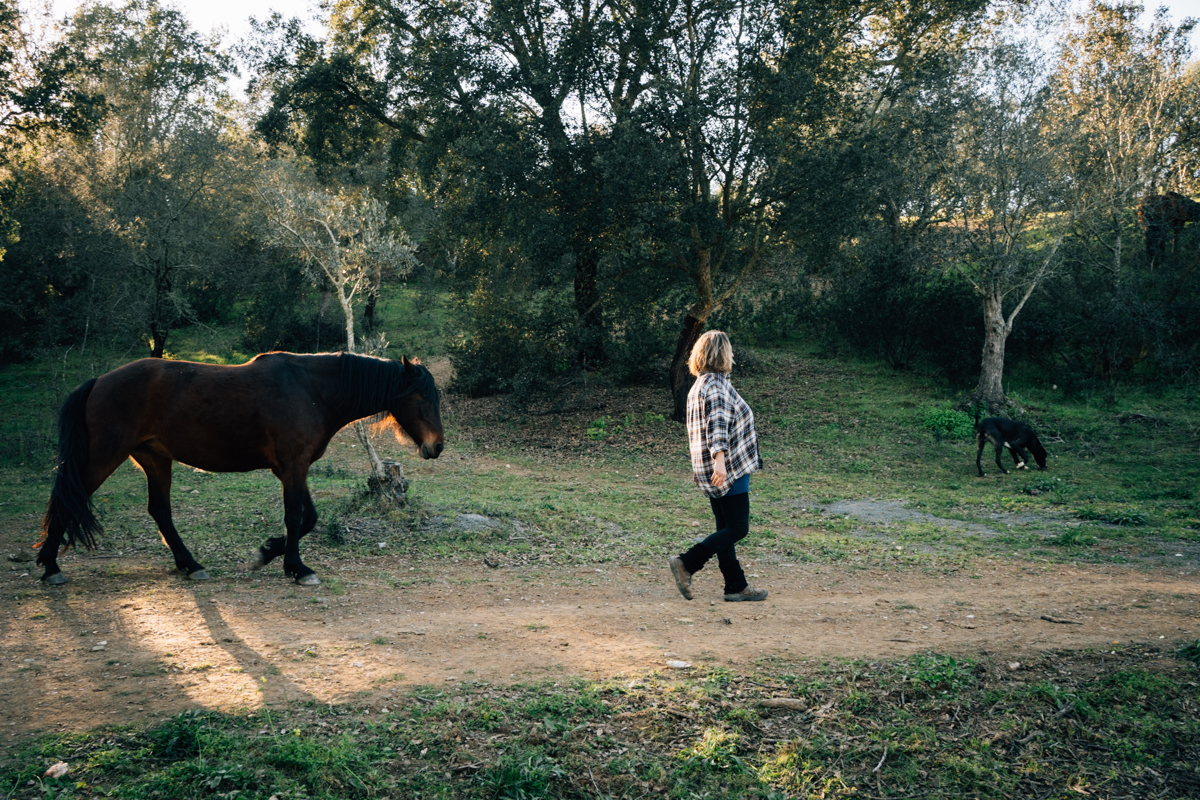Pferdeliebe, Pferdefotograf, photograph chevaux, Tiere heilen, Pferdegestütztes Coaching, Pferdetraining