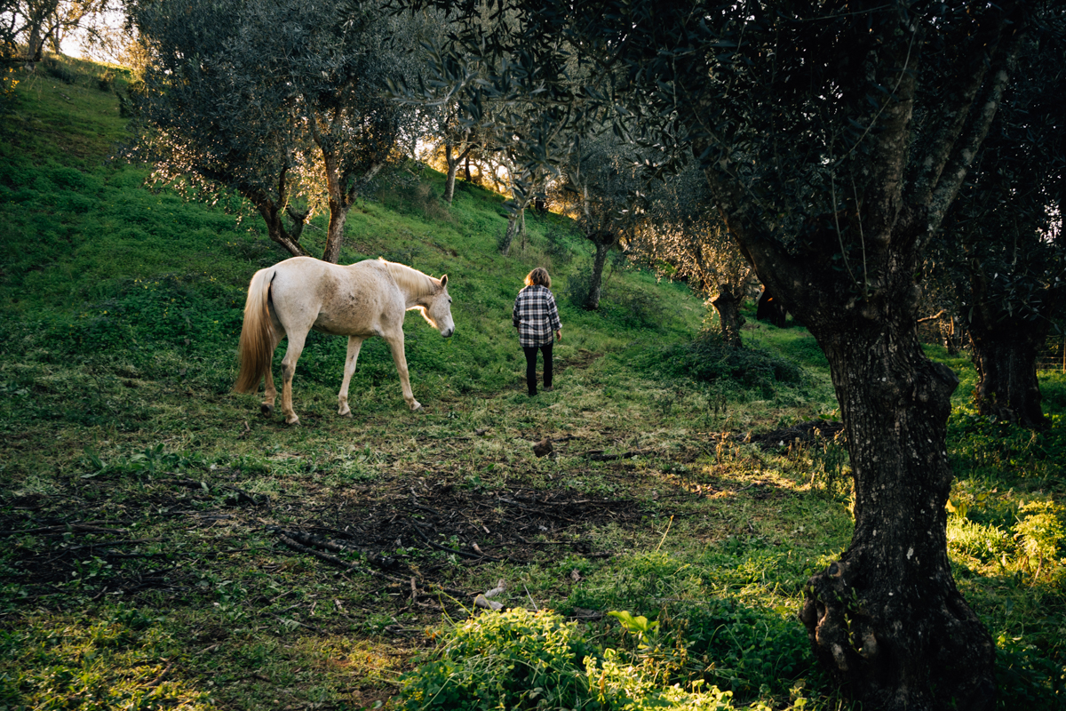 Pferdeliebe, Pferdefotograf, photograph chevaux, Tiere heilen, Pferdegestütztes Coaching